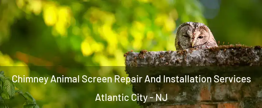  Chimney Animal Screen Repair And Installation Services Atlantic City - NJ