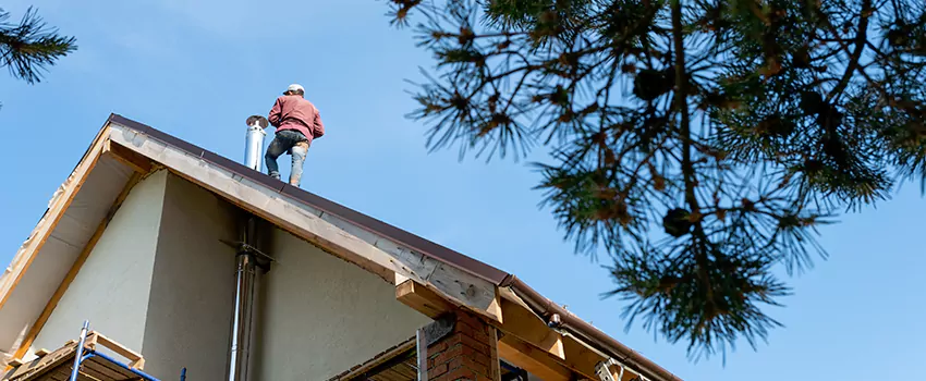 Birds Removal Contractors from Chimney in Atlantic City, NJ
